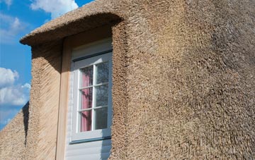 Hoyle thatch roof disadvantages