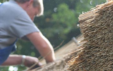 professional Hoyle thatchers