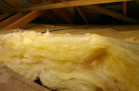 Hoyle pitch roof insulation